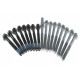 Bultset(topplock)
