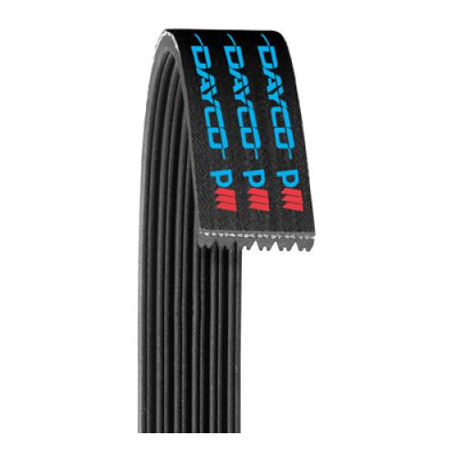 REM 6PK1175