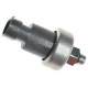 Sensor-Tryck(servopump)