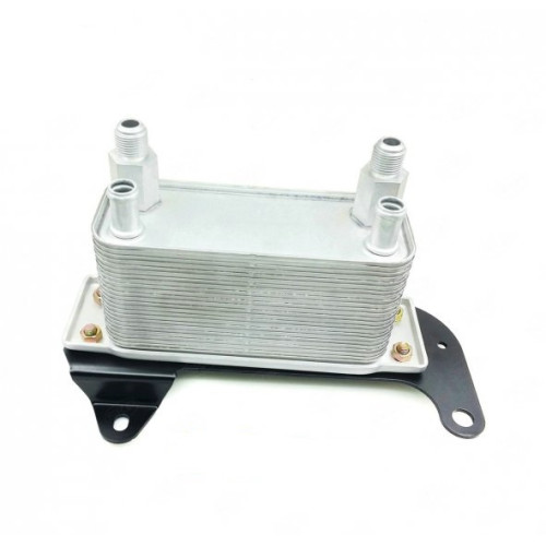 OKYLAR-AUT RAM25,0409
