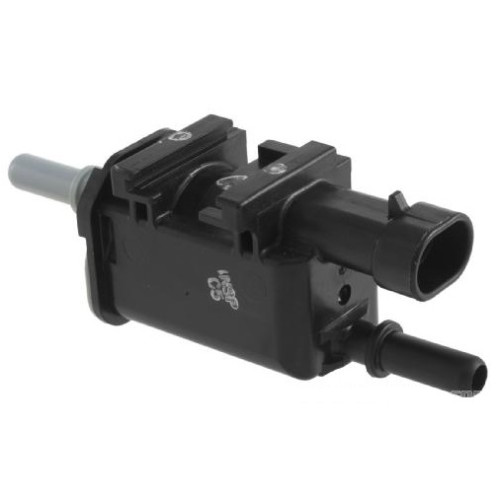 CANISTER PURGE/GM,0410