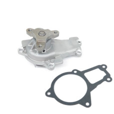 Vattenpump Voyager