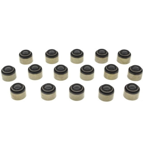 VTÄTNSET 350LT1/CHEV